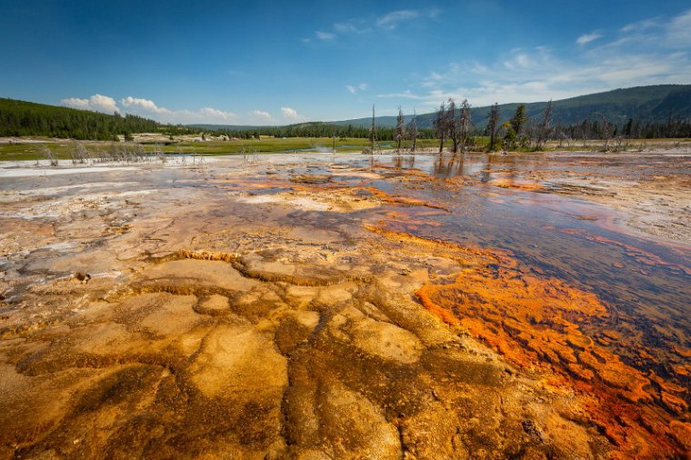 028 Yellowstone NP.jpg